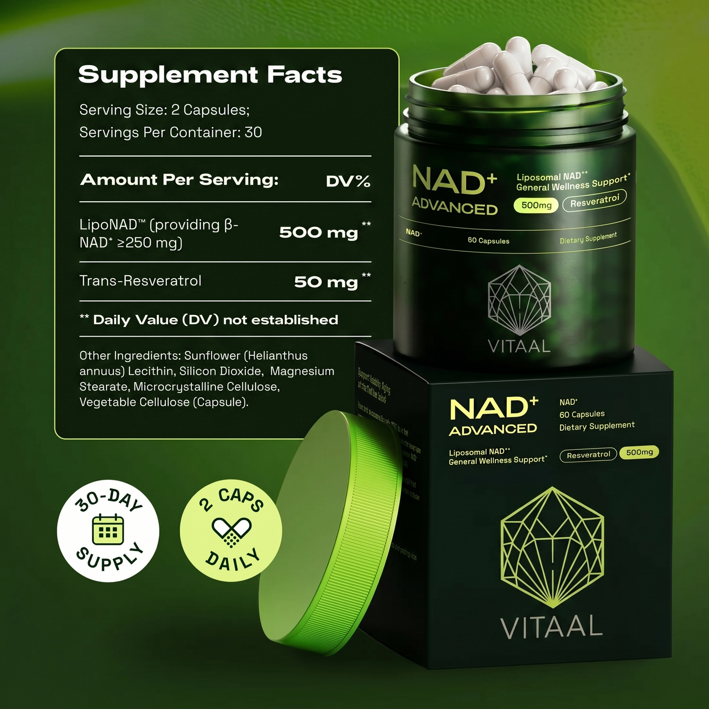 VITAAL NAD+ Complex Capsules